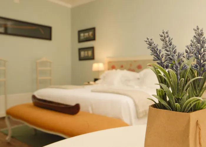 Guest house Alecrim Ao Chiado